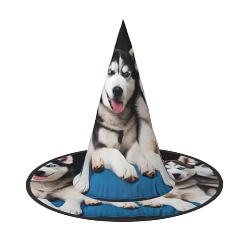 JAYWIS Hübscher Husky Halloween-Hut für Erwachsene, verstaubare Hexe, Kopfbedeckung für Renaissance-Messen, Gothic-Partys und Festivals von JAYWIS