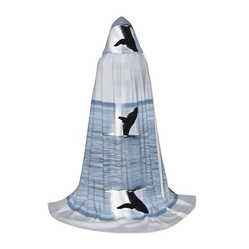 JAYWIS Killerwal – bedruckter Kapuzenumhang für Jugendliche, Halloween-Abenteuer, Partys und festliche Anlässe, Größe S JAYWIS Killerwal – bedruckter Kapuzenumhang für Jugendliche, Halloween-Abenteuer, Partys und festliche Anlässe, Größe S von JAYWIS