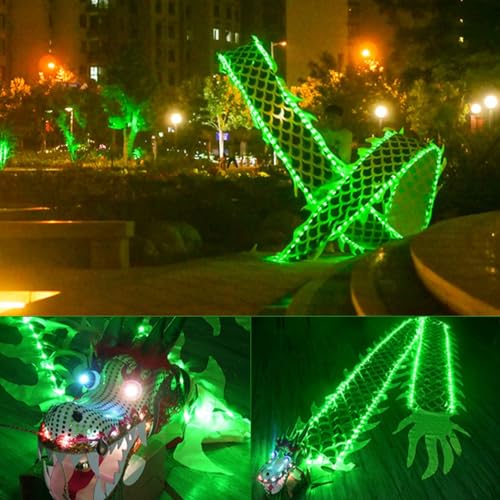 JAYWIS Tanzband Drachenschleuderband mit Grünem LED-Licht, Rotierender und Schüttelnder Poi im Drachendesign für Outdoor-Sport-Fitness, Echter Drachentanz-Streamer (Size : 6 m (20 ft)) von JAYWIS