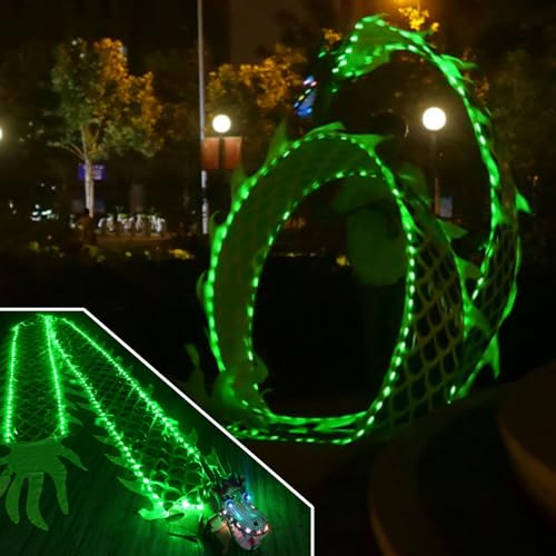 JAYWIS Tanzband Grün Leuchtendes Drachentanzband, Waschbares Outdoor-Fitness-Drachen-Poi-Set mit Reisetasche, Seidenartige Drachen-Spinnbänder zum Jonglieren (Size : 8 m (26 ft)) von JAYWIS