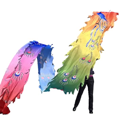 JAYWIS Tanzband Pfauenfeder-Drachen-Tanzband, 8 m Lange Waschbare Drachen-Design-Kunst-Tanzflagge mit Drachenkopf, Outdoor-Sport-Fitness-Spinnbänder (Color : Colorful) von JAYWIS