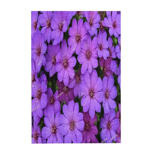 Lilienblumen-Druck, 300-teiliges Bilderpuzzle aus Holz für Erwachsene, Familienspaß und Entspannungsgeschenk von JAYWIS