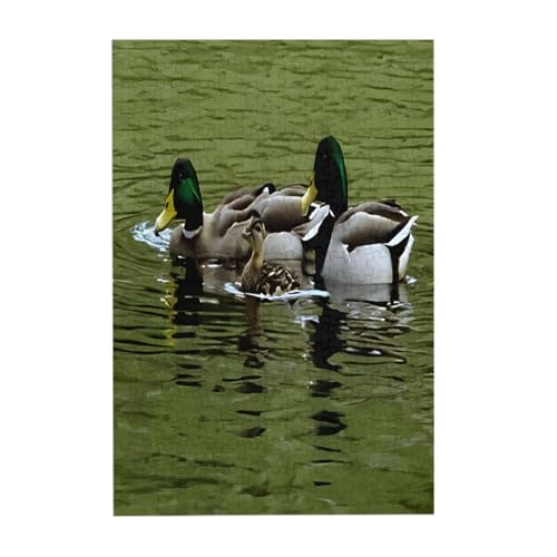 Loon Nature Bird – Druck 300 Teile Bilderpuzzle – Holz für Erwachsene, Familienspaß und Entspannungsgeschenk Loon Nature Bird – Druck 300 Teile Bilderpuzzle – Holz für Erwachsene, Familienspaß und Entspannungsgeschenk von JAYWIS