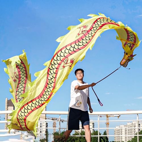 Tanzband Fitness-Drachen-Streamer mit Stahlkopf, Leichtes Wurfband im Drachen-Design, Tanz / Jonglierbühnen-Requisitenset für Jugendliche, Erwachsene und Senioren ( Color : Yellow , Size : 6 m (20 ft) von JAYWIS