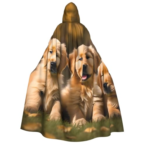 JBJGKHLP Golden Retriever Kapuzenumhang mit Kapuze, für Halloween, Weihnachten, Karneval, Motto-Partys von JBJGKHLP