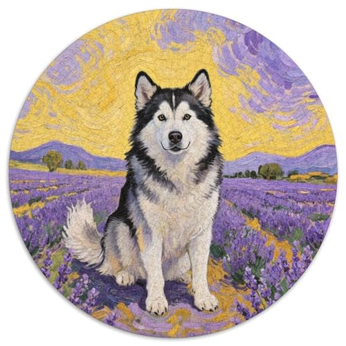 Alaskanische Malamute ​ 1000 Jigsaw Puzzles Presents Haustier Hund Round Puzzles Educational Stress Relieving Toy Adult Sophisticated for Teenagers and Adults1000pcs (67.5x67.5cm) von JCOUSDAEO