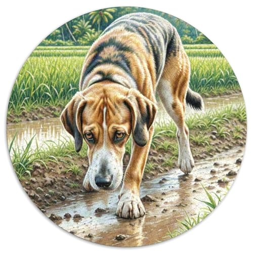 Askal​ 1000 Jigsaw Puzzles Presents Haustierhund Round Puzzle Educational Stress Relieving Toy Adult Sophisticated Puzzle for Adults1000pcs (67.5x67.5cm) von JCOUSDAEO