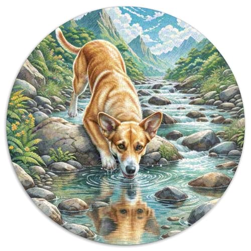 Askal​ 1000Jigsaws Creative Gifts Haustierhund Round Puzzles Educational Stress Relieving Toy Adult Sophisticated Puzzle for Adults1000pcs (67.5x67.5cm) von JCOUSDAEO
