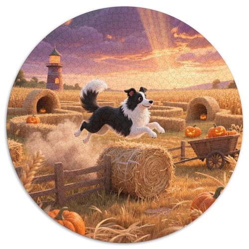 Border Collie ​ 1000Jigsaws Presents Haustierhund Round Jigsaw Puzzle Educational Stress Relieving Toy Adult Sophisticated Puzzle for Teenagers and Adults1000pcs (67.5x67.5cm) von JCOUSDAEO