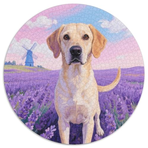 Greyhound ​ 1000 Jigsaw Puzzles Presents niedlich Hund Round Puzzles Educational Stress Relieving Toy Adult Sophisticated for Adults & Children1000pcs (67.5x67.5cm) von JCOUSDAEO