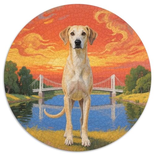 Greyhound ​ 1000 Puzzle Creative Gifts niedlich Hund Round Puzzles Educational Stress Relieving Toy Adult Sophisticated for Adults1000pcs (67.5x67.5cm) von JCOUSDAEO