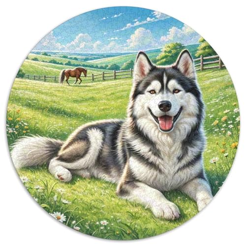 Husky​ 1000 Jigsaw Puzzles Presents Süße Haustiere Round Puzzles Educational Stress Relieving Toy Adult Sophisticated Puzzle for Adults1000pcs (67.5x67.5cm) von JCOUSDAEO