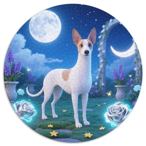 Ibizan Hund ​ 1000 Jigsaw Puzzles Presents Haustierhund Round Puzzles Educational Stress Relieving Toy Adult Sophisticated Puzzle for Adults & Children1000pcs (67.5x67.5cm) von JCOUSDAEO