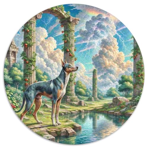Italienischer Greyhound ​ 1000 Puzzle Presents Süße Haustiere Round Puzzles Educational Stress Relieving Toy Adult Sophisticated Puzzle for Adults1000pcs (67.5x67.5cm) von JCOUSDAEO