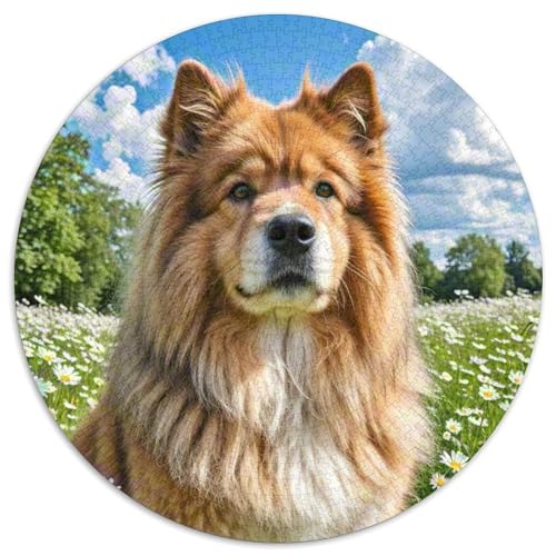 Keeshond ​ 1000Jigsaws Creative Gifts Süße Haustiere Round Puzzles Educational Stress Relieving Toy Adult Sophisticated Puzzle for Teenagers and Adults1000pcs (67.5x67.5cm) von JCOUSDAEO
