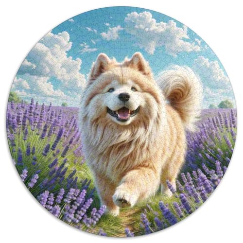 Keeshond ​ 1000Jigsaws Presents Süße Haustiere Round Jigsaw Puzzle Educational Stress Relieving Toy Adult Sophisticated Puzzle for Adults1000pcs (67.5x67.5cm) von JCOUSDAEO