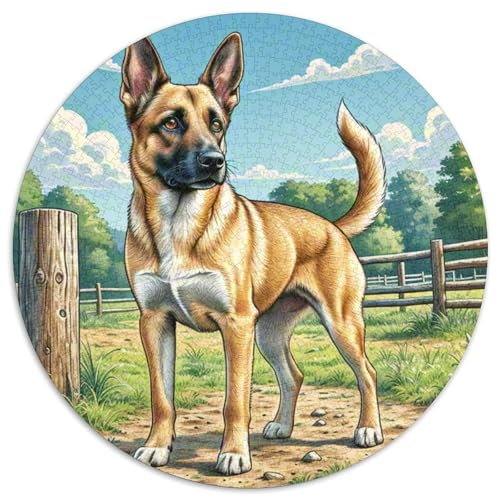 Malinois ​ 1000Jigsaws Presents Süße Haustiere Round Jigsaw Puzzle Educational Stress Relieving Toy Adult Sophisticated Puzzle for Adults & Children1000pcs (67.5x67.5cm) von JCOUSDAEO