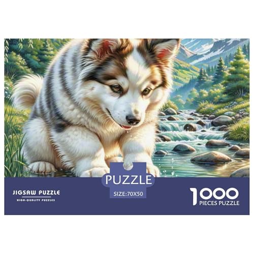 Miniatur American Eskimo Dog Puzzle 1000 Pieces Puzzle for Men and Women Haustierhund Puzzle Games for The Whole for Women, Gifts for Men for Older Children70x50cm/1000pcs Miniatur American Eskimo Dog Puzzle 1000 Pieces Puzzle for Men and Women Haustierhund Puzzle Games for The Whole for Women, Gifts for Men for Older Children70x50cm/1000pcs von JCOUSDAEO