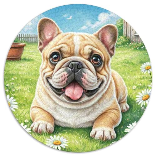 Miniatur Bulldog ​ 1000 Jigsaw Puzzles Creative Gifts Süße Haustiere Round Puzzles Educational Stress Relieving Toy Adult Sophisticated Puzzle for Adults & Children1000pcs (67.5x67.5cm) von JCOUSDAEO