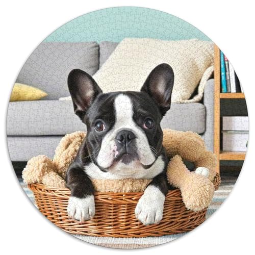 Miniatur Bulldog ​ 1000 Jigsaw Puzzles Presents Süße Haustiere Round Puzzle Educational Stress Relieving Toy Adult Sophisticated Puzzle for Adults & Children1000pcs (67.5x67.5cm) von JCOUSDAEO