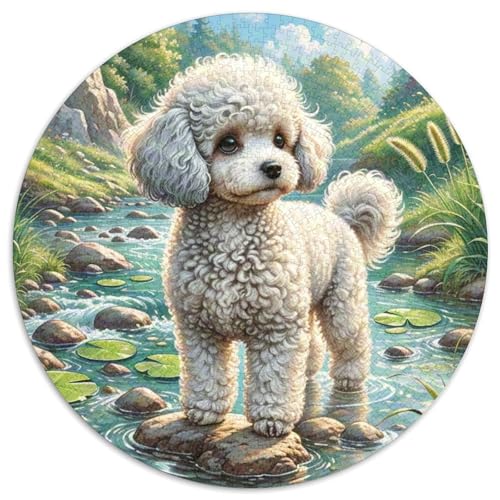 Miniaturpudel ​ 1000 Puzzle Presents Süße Haustiere Round Puzzles Educational Stress Relieving Toy Adult Sophisticated Puzzle for Teenagers and Adults1000pcs (67.5x67.5cm) von JCOUSDAEO
