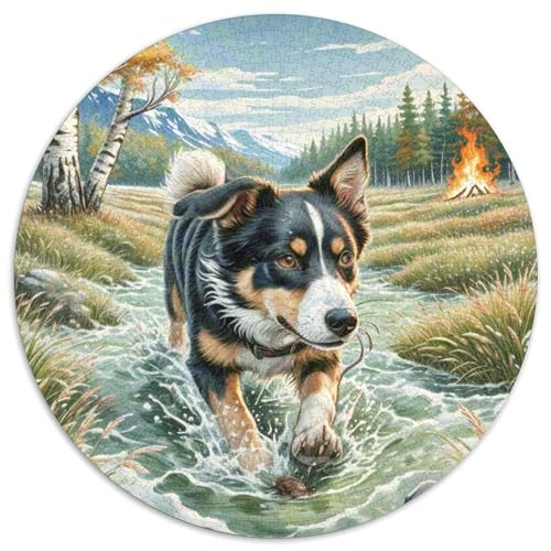 Norwegischer Elkhound ​ 1000Jigsaws Creative Gifts Süße Haustiere Round Jigsaw Puzzle Educational Stress Relieving Toy Adult Sophisticated Puzzle for Adults1000pcs (67.5x67.5cm) von JCOUSDAEO