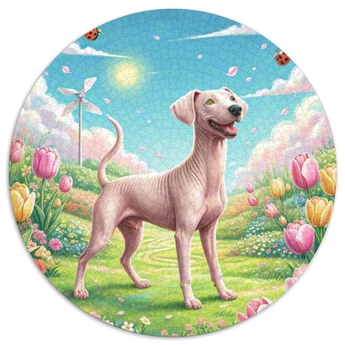 Peruanische Inka-Orchidee 1000 Jigsaw Puzzles Presents Cute Haustierhund Round Puzzle Educational Stress Relieving Toy Adult Sophisticated Puzzle for Adults & Children1000pcs (67.5x67.5cm) von JCOUSDAEO