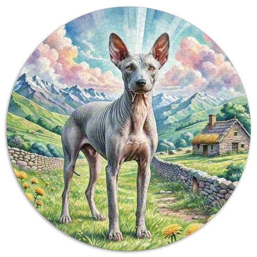 Peruanische Inka-Orchidee 1000 Puzzle Presents Cute Haustierhund Round Puzzles Educational Stress Relieving Toy Adult Sophisticated Puzzle for Teenagers and Adults1000pcs (67.5x67.5cm) von JCOUSDAEO