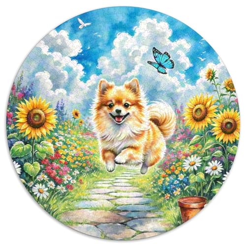 Pommern ​ 1000 Jigsaw Puzzles Presents Süße Haustiere Round Puzzle Educational Stress Relieving Toy Adult Sophisticated Puzzle for Adults1000pcs (67.5x67.5cm) von JCOUSDAEO