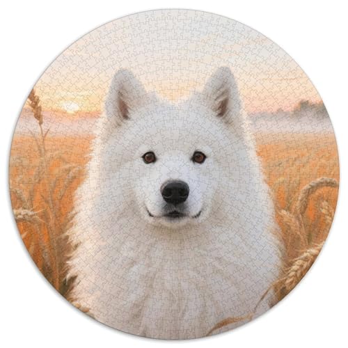 Samojed ​ 1000 Jigsaw Puzzles Presents niedlich Hund Round Puzzles Educational Stress Relieving Toy Adult Sophisticated for Adults & Children1000pcs (67.5x67.5cm) von JCOUSDAEO