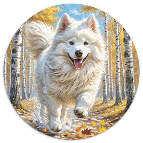Samojed ​ 1000Jigsaws Presents Süße Haustiere Round Puzzles Educational Stress Relieving Toy Adult Sophisticated Puzzle for Adults1000pcs (67.5x67.5cm) von JCOUSDAEO