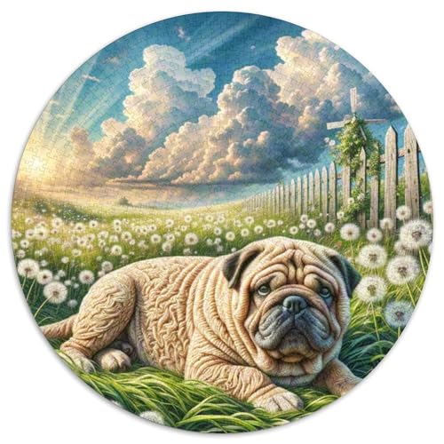 Schar Pei ​ 1000Jigsaws Presents Süße Haustiere Round Jigsaw Puzzle Educational Stress Relieving Toy Adult Sophisticated Puzzle for Adults1000pcs (67.5x67.5cm) von JCOUSDAEO