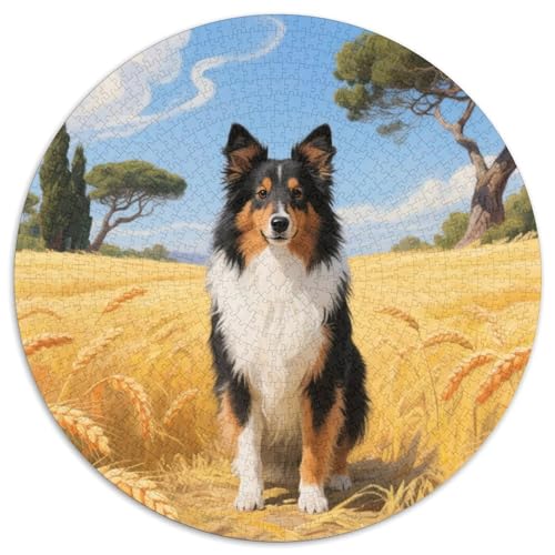 Shetland-Schafdogge 1000 Jigsaw Puzzles Presents niedlich Hund Round Jigsaw Educational Stress Relieving Toy Adult Sophisticated for Teenagers and Adults1000pcs (67.5x67.5cm) von JCOUSDAEO