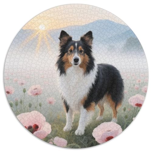 Shetland-Schafdogge 1000Jigsaws Creative Gifts niedlich Hund Round Puzzles Educational Stress Relieving Toy Adult Sophisticated for Adults1000pcs (67.5x67.5cm) von JCOUSDAEO