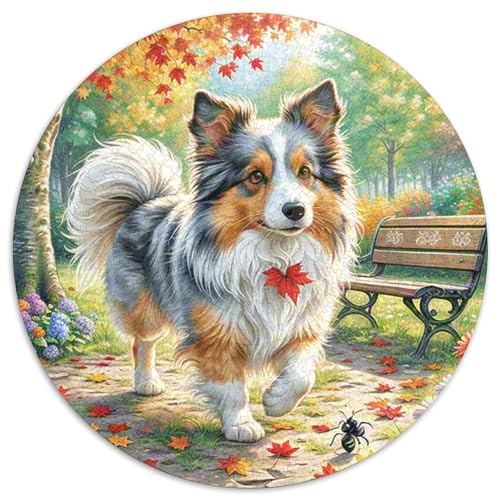 Shetlandsherhund ​ 1000 Puzzle Creative Gifts Haustierhund Round Puzzles Educational Stress Relieving Toy Adult Sophisticated Puzzle for Teenagers and Adults1000pcs (67.5x67.5cm) von JCOUSDAEO