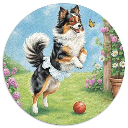 Shetlandsherhund ​ 1000Jigsaws Presents Haustierhund Round Jigsaw Puzzle Educational Stress Relieving Toy Adult Sophisticated Puzzle for Adults & Children1000pcs (67.5x67.5cm) von JCOUSDAEO