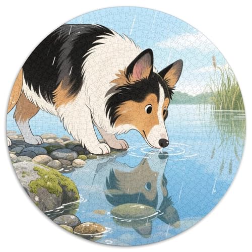Shetlandsherhund ​ 1000Jigsaws Presents Haustierhund Round Jigsaw Puzzle Educational Stress Relieving Toy Adult Sophisticated Puzzle for Adults1000pcs (67.5x67.5cm) von JCOUSDAEO