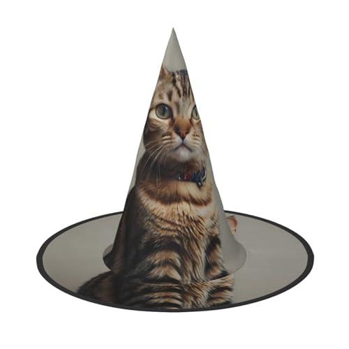 JDbncxe Halloween-Hut – Katze mit Halskette, Hexen-Dekor, Party, Cosplay-Zubehör, festlicher Karneval, Stirnband, magische Zauberer-Kappe, 2 Stück JDbncxe Halloween-Hut – Katze mit Halskette, Hexen-Dekor, Party, Cosplay-Zubehör, festlicher Karneval, Stirnband, magische Zauberer-Kappe, 2 Stück von JDbncxe
