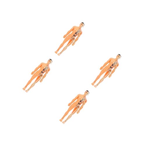 2 Sätze Menschlicher Körpermodell Puzzles Puzzle 3D Puzzles Für Orgel Kehlkopf Anatomie Modell Anatomie Puzzle Früherziehung Lehrmittel Kunststoff JECOMPRIS von JECOMPRIS