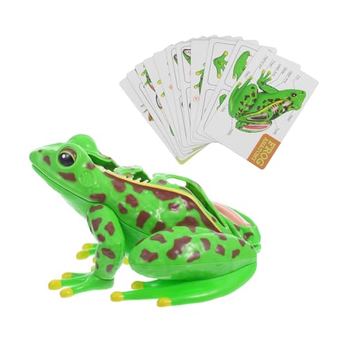 JECOMPRIS Anatomie-demonstrationsmodell Pädagogisches Frosch-sezierset Für Kinder Interaktives Lernspielzeug Bildungs-lern-sammlerstück JECOMPRIS Anatomie-demonstrationsmodell Pädagogisches Frosch-sezierset Für Kinder Interaktives Lernspielzeug Bildungs-lern-sammlerstück von JECOMPRIS