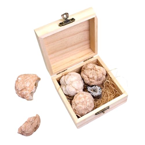JECOMPRIS 1 Schachtel graben Rock-Sammlung Edelstein-Ausgrabungsset Geoden-Kit Bausatz zum Graben von Steinen Mineralgesteinsset Edelsteine Kinderspielzeug Rock-Kit Kristallachaterz von JECOMPRIS