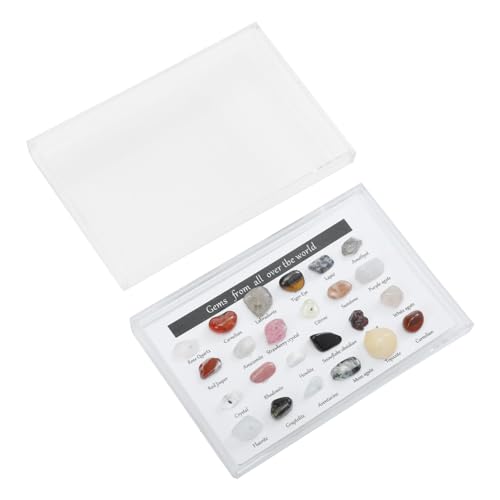 JECOMPRIS 2 Boxen Erz Proben Felsen Schreibtisch Sammelfiguren Mineralische Probe Stein Colorful von JECOMPRIS