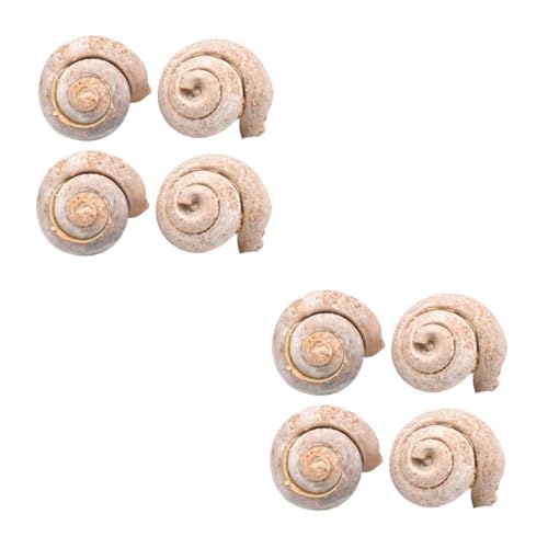 JECOMPRIS 2sets Lehr Requisiten Schnecke Probe Pädagogisches Kit Für Jungen Und Ornamente 4 Stücke * 2 von JECOMPRIS