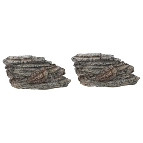 JECOMPRIS 2 Stück Fossiles Exemplar Paläontologisches Trilobitendekor Trilobiten-ornament Trilobiten-exemplarornament Trilobiten- Trilobit-dekoration Trilobiten-exemplardekoration Harz von JECOMPRIS