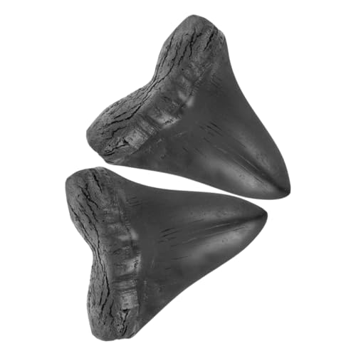 JECOMPRIS 2 Stücke Megalodon aus Abnehmbares Zahnmodell für Tischdekoration Paläontologisches Andenken Langlebig und Leicht zu Transportieren von JECOMPRIS