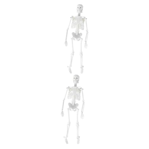 JECOMPRIS 2St Statue des menschlichen Skeletts Skelett in voller Größe menschliches Skelett Anatomiemodell unterrichtsmaterial beige Modelle Anatomisches Studienmodell abnehmbar Ausrüstung von JECOMPRIS