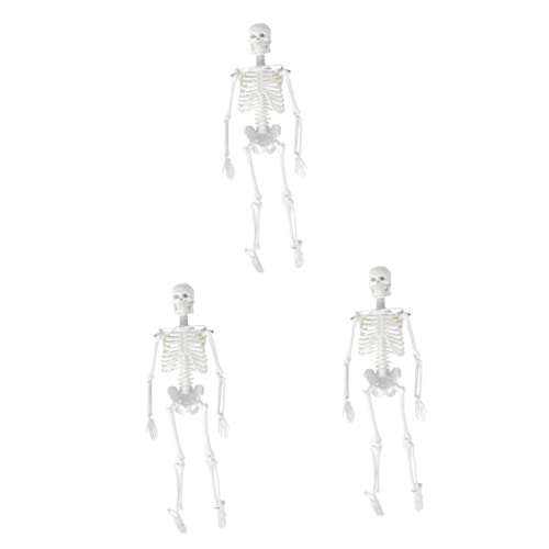 JECOMPRIS Anatomiemodell 3St Modell des menschlichen Körpers für Kinder Statue des menschlichen Skeletts Modelle Anatomisches Studienmodell modell menschlicher Körper Schulmaterial von JECOMPRIS