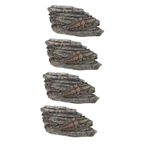 JECOMPRIS 4 Stück fossiles Exemplar sammeltassen Trilobit- aus Harz Trilobit-Dekoration aus Harz Trilobit aus Harz paläontologisches Trilobitenexemplar Trilobiten- von JECOMPRIS