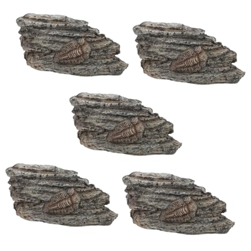 JECOMPRIS 5 Stück Fossiles Exemplar Paläontologisches Exemplar Paläontologisches Trilobitendekor Trilobiten-exemplarornament Trilobit Zur Verzierung Trilobit Zur Abholung Harz von JECOMPRIS