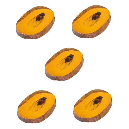 JECOMPRIS 5 Stück Insektenverzierung pädagogische Bugs Exemplar Zikaden -Insektenproben Insekt Bernstein -ls Bernsteine bernsteinfarbenes Insektenexemplar Harz Orange JECOMPRIS 5 Stück Insektenverzierung pädagogische Bugs Exemplar Zikaden -Insektenproben Insekt Bernstein -ls Bernsteine bernsteinfarbenes Insektenexemplar Harz Orange von JECOMPRIS
